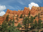 Red Canyon
